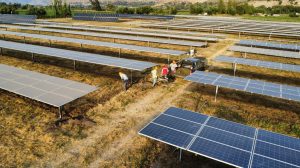 Servicios screenshot 655