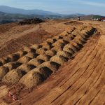 Servicios screenshot 682