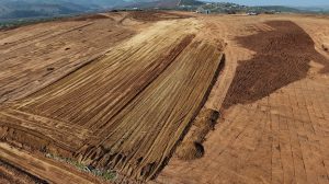 Servicios screenshot 688