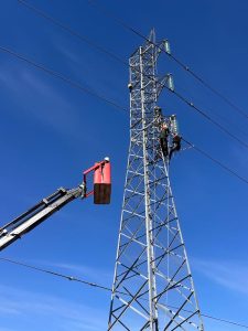 Servicios baf9f317 4afb 4a43 a111 7e6d026838a3